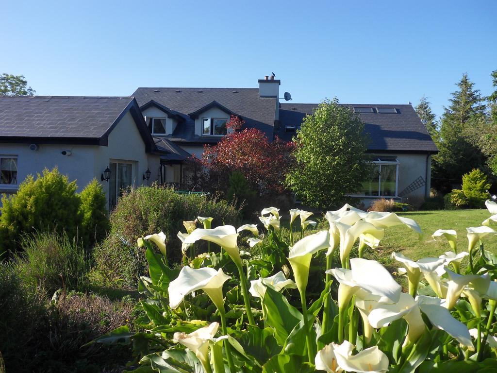 Ethan House Holiday Suites Killarney Zewnętrze zdjęcie