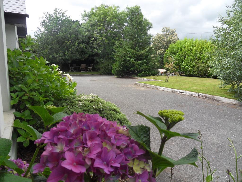 Ethan House Holiday Suites Killarney Zewnętrze zdjęcie
